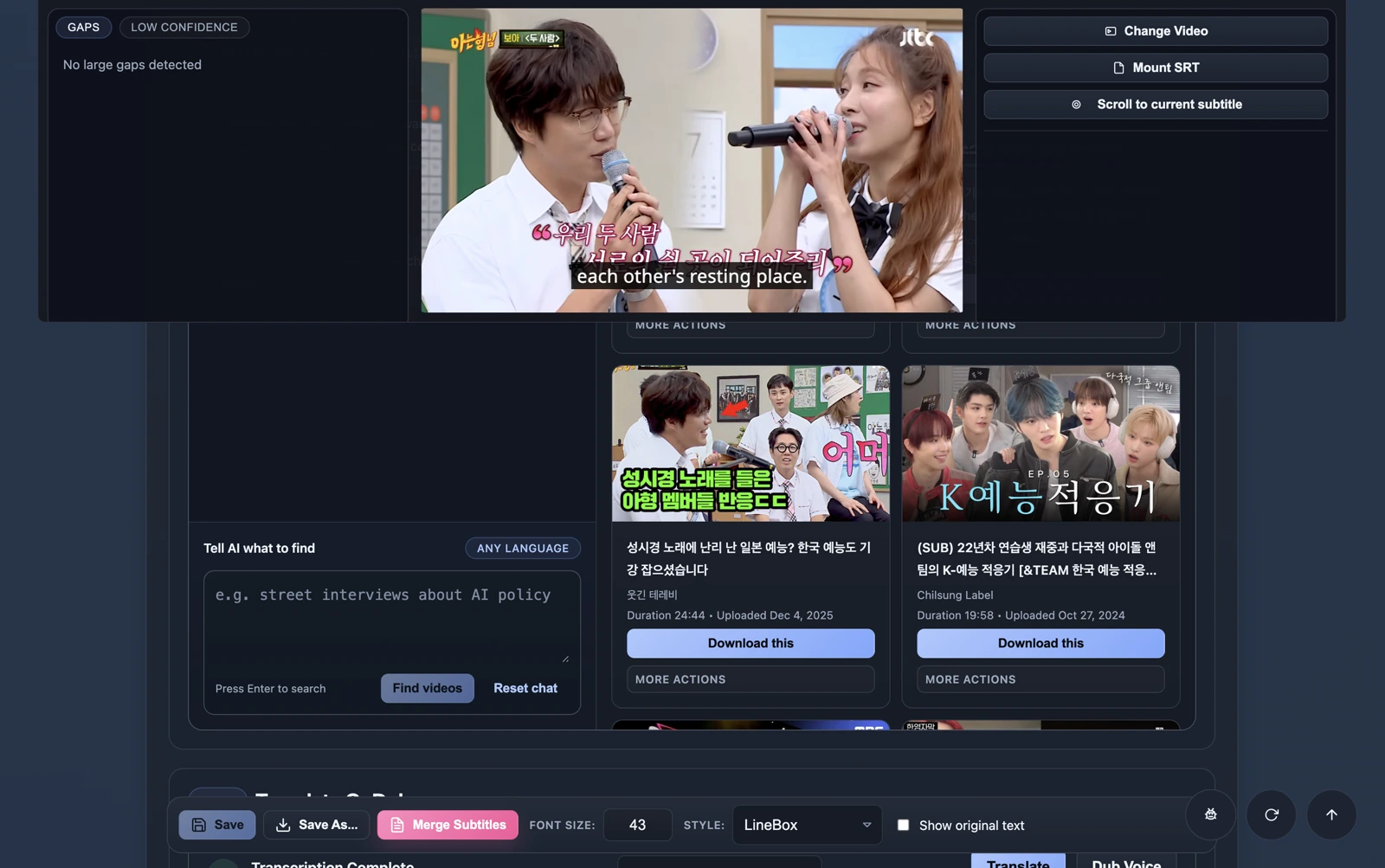 翻訳字幕付きで動画を確認している画面